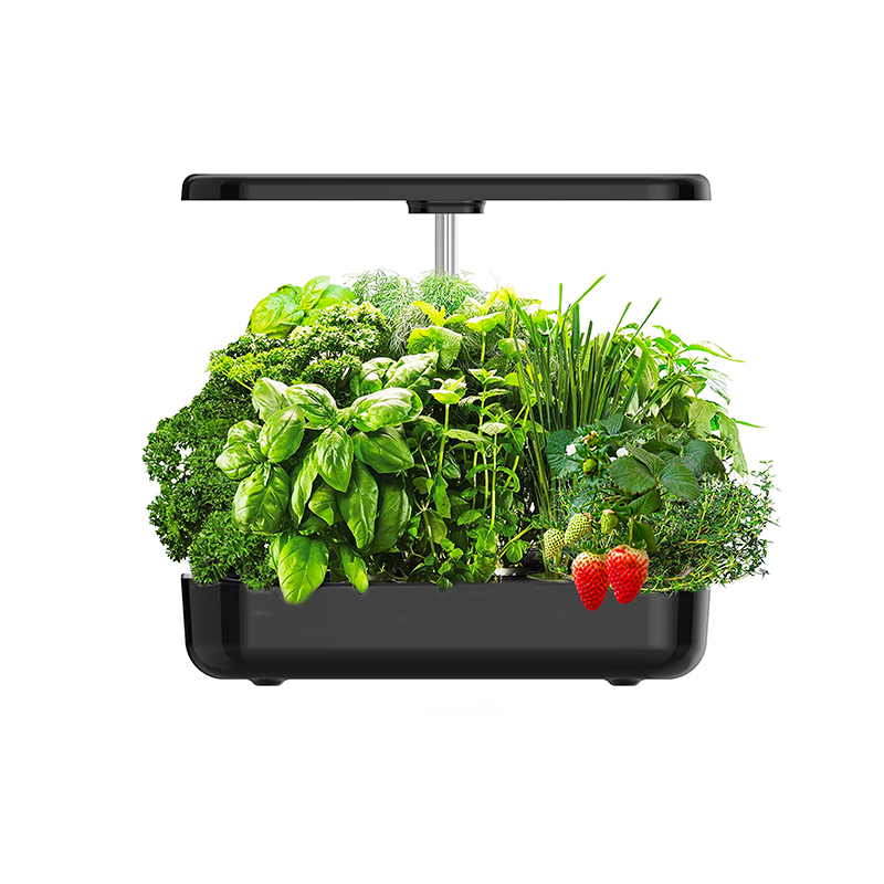 12 Bölmeli Akıllı Hidroponik Y - Smart Pod Garden incelemesi ve fiyatı