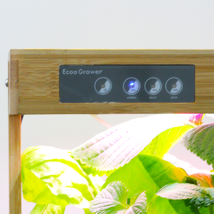 Bambu Doğal 8 Bölmeli Ev Hidro - Smart Pod Garden incelemesi ve fiyatı