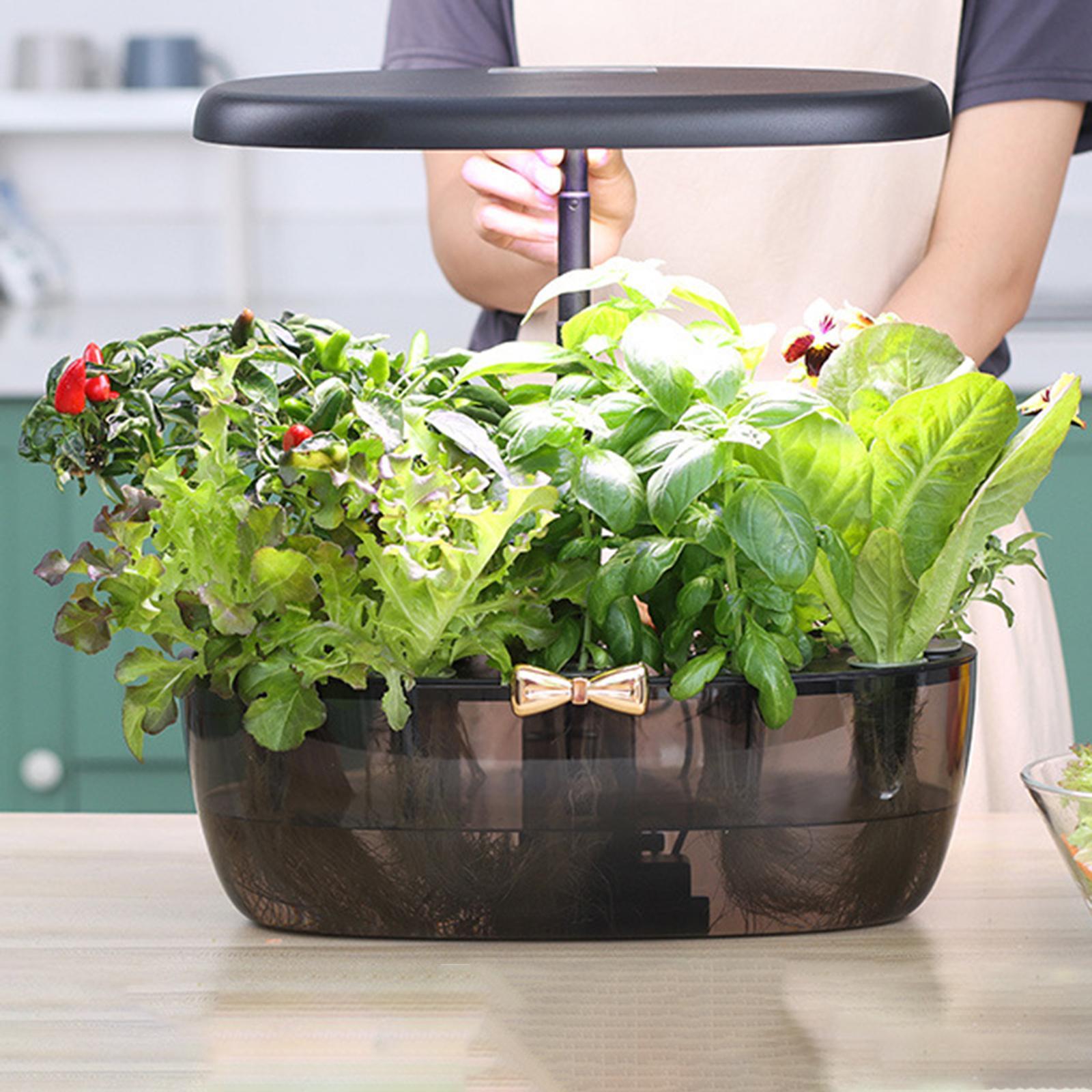 Hidroponik Yetiştirme Makinesi - Smart Pod Garden incelemesi ve fiyatı
