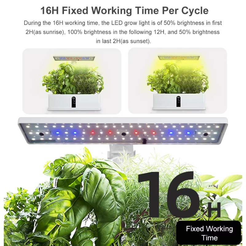 9 Bölmeli Akıllı Hidroponik Ye - Smart Pod Garden incelemesi ve fiyatı
