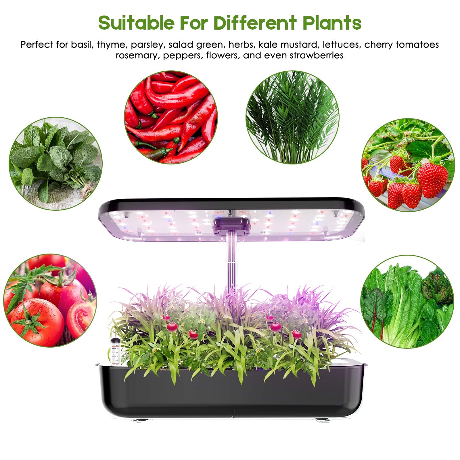 Topraksız Yetiştirme Sistemi 1 - Smart Pod Garden incelemesi ve fiyatı